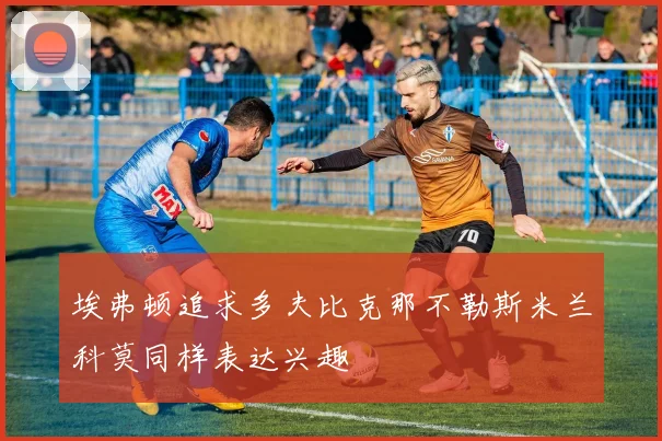 埃弗顿追求多夫比克那不勒斯米兰科莫同样表达兴趣