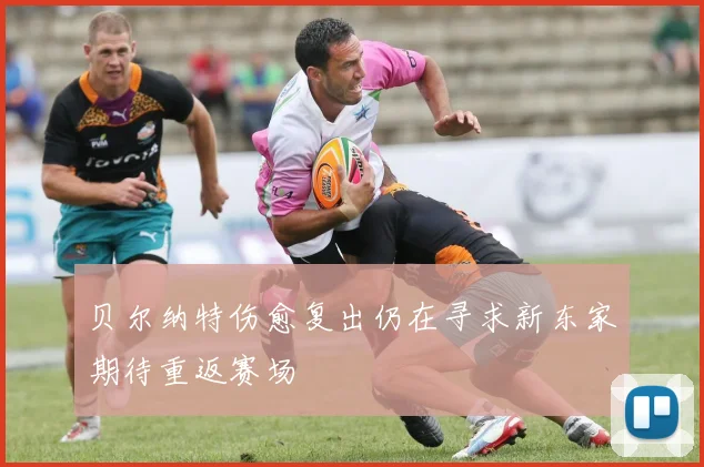 贝尔纳特伤愈复出仍在寻求新东家期待重返赛场