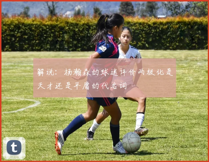 解说：杨瀚森的球迷评价两极化是天才还是平庸的代名词